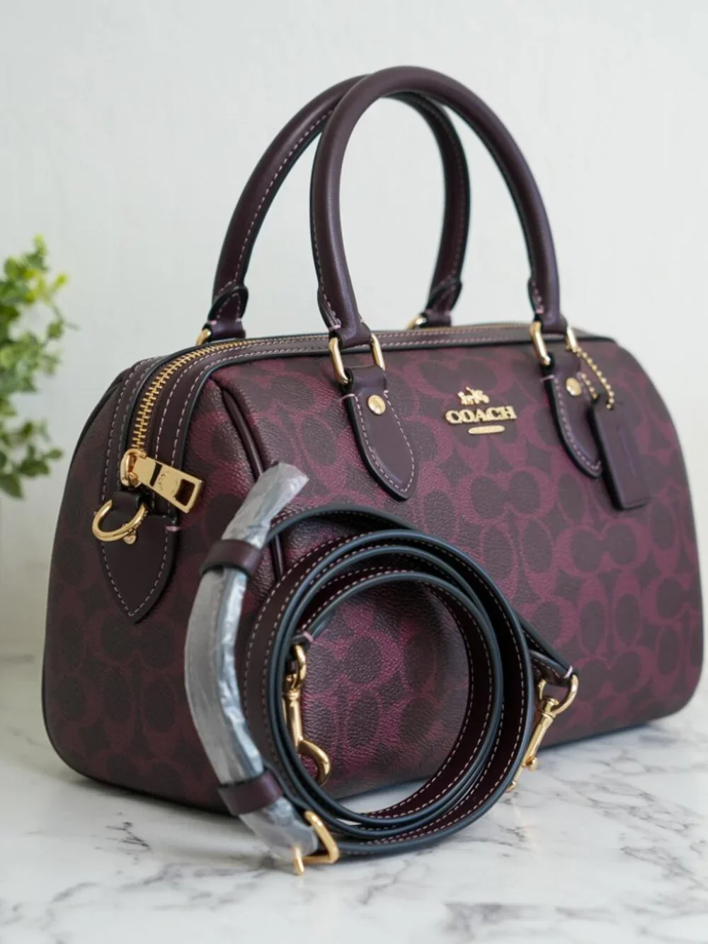 Coach cv961 rowan